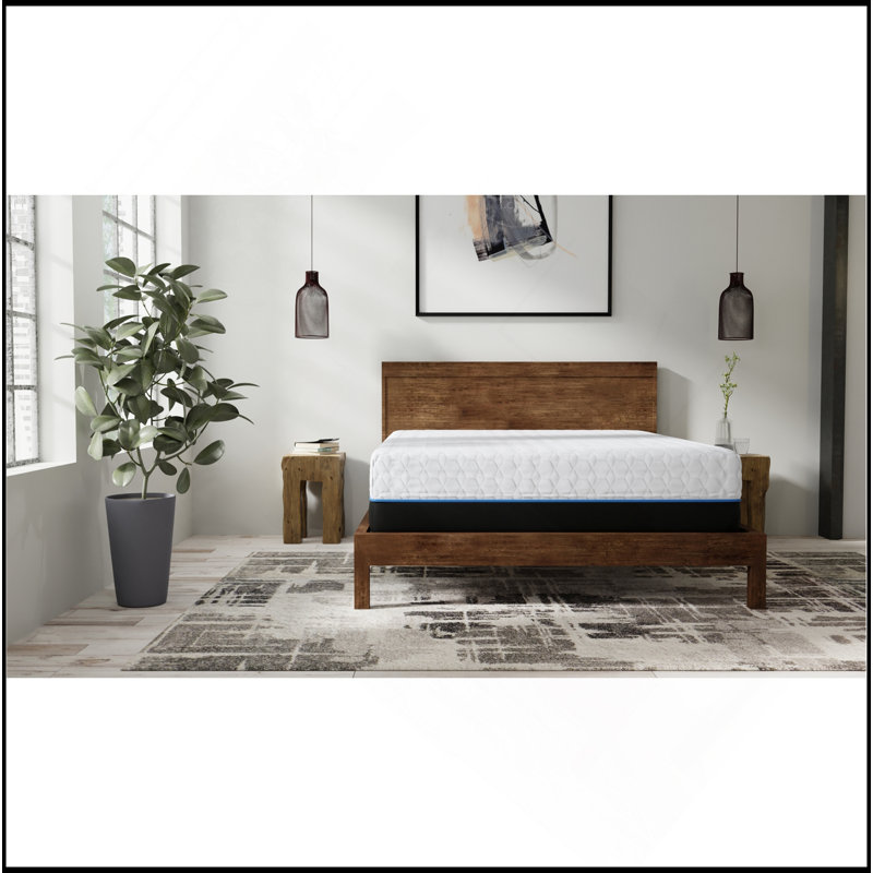 Infused 14 Inch Plush Memory Foam Mattress, Twin XL