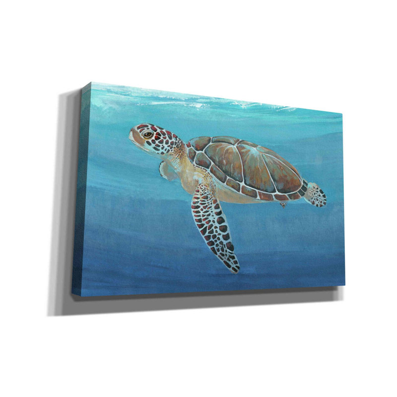 «Ocean Sea Turtle II» par Tim O'toole, art mural sur toile, H 26 po x l 40 po x P 1,5 po