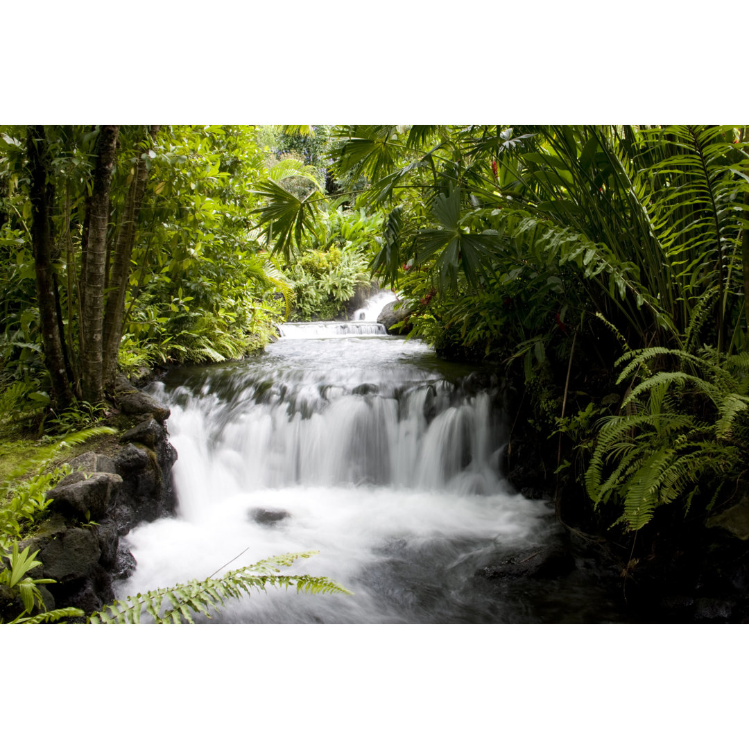 Tropical Waterfall by Digitaldawn - Wrapped Canvas Print