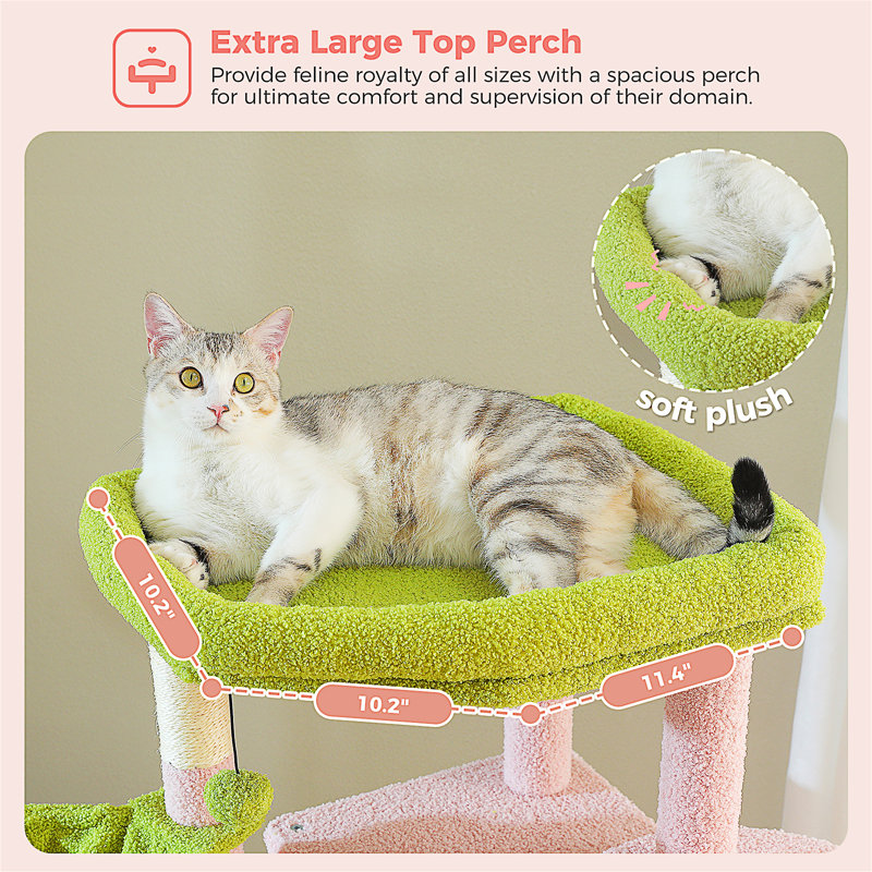 Arbre à chat, Rose / Vert