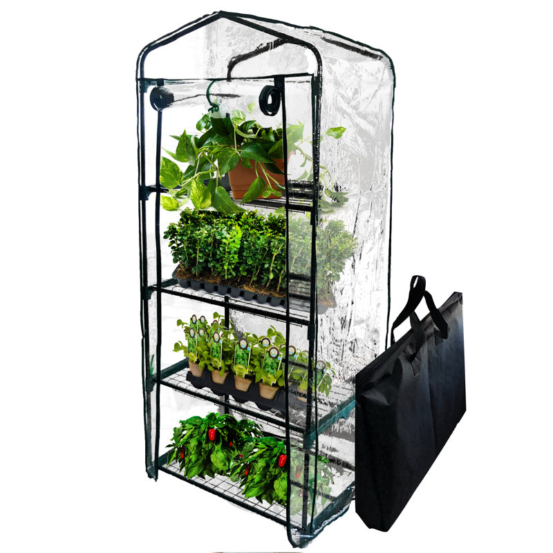 Mini serre l 27 po x P 19 po