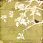 Oiseaux chanteurs I-1157262350
