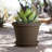 Terra Traditional Plastic Indoor/Outdoor Pot Planter-759619945-759619942