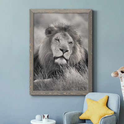 " Pride Of The Pride "