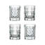 4 Piece 2 oz. Shot Glass Set