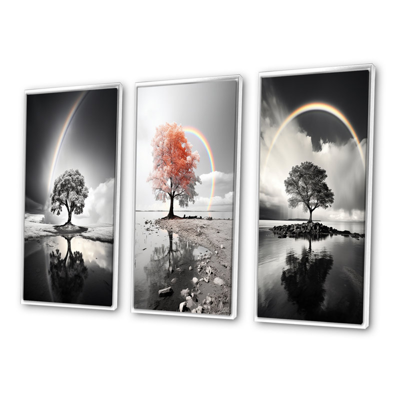 «Rainbow Grayscale Arc Over Tree», 3 pièces sur toile, H 20 po x l 36 po, Cadre flottant blanc