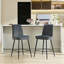 Ensemble de 2 chaises d'appoint rembourrées-1701798375