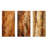 Brown Tree Bark Essence II - Tree Metal Art Print Set Of 3-1109657053