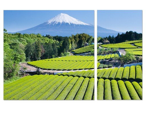 2-tlg. Leinwandbild-Set Tea Fields near Mount Fuji