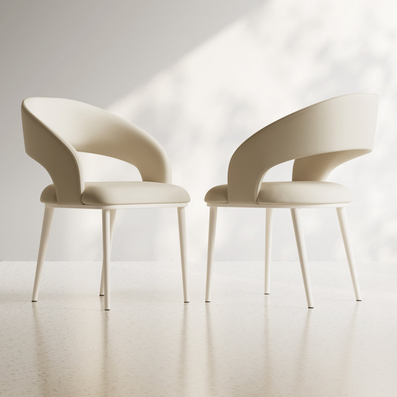 Modern Dining Chairs Set Of 2 For Kitchen, Bar, Living Room