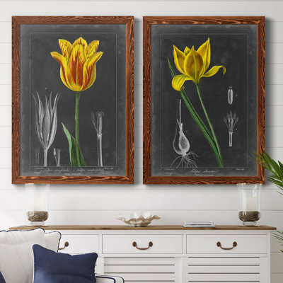 «Midnight Tulip», reproduction encadrée prémium