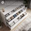 Commode Schinus