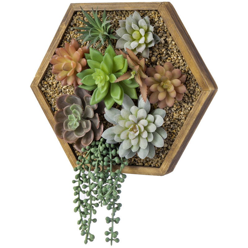 11.41'' Faux Succulent in Solid Wood Planter