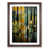 Walnut Framed