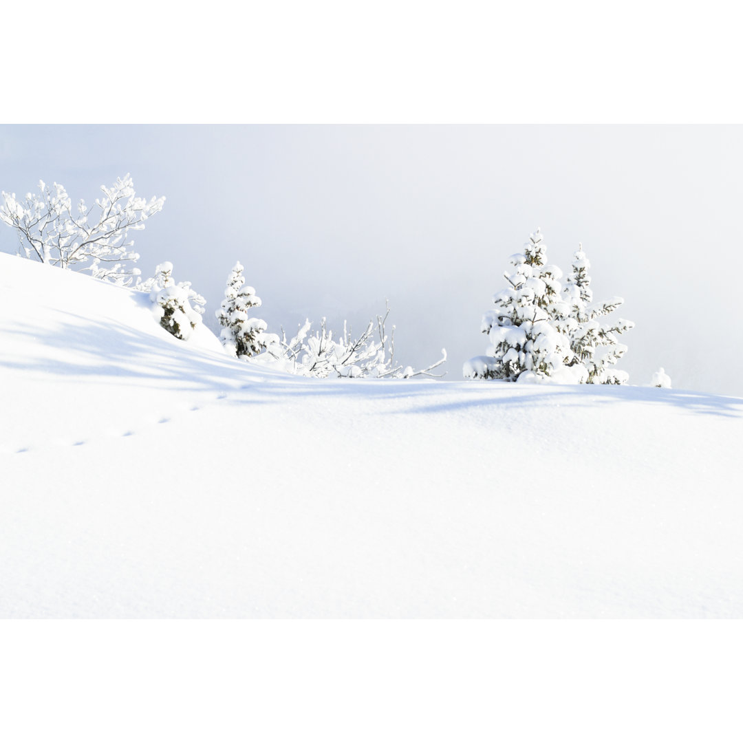 Graphic Illustration Of A Snowy Field And Pine Trees von Bkindler - No Frame Art Prints on Canvas