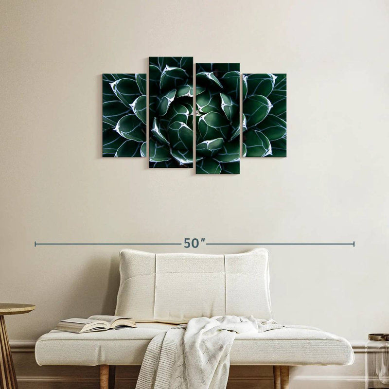Agave Harnek Queen Victoria, H 22 po x l 36 po