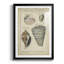 Étude de coquillage rétro II, impression sur papier-307313152-307313165