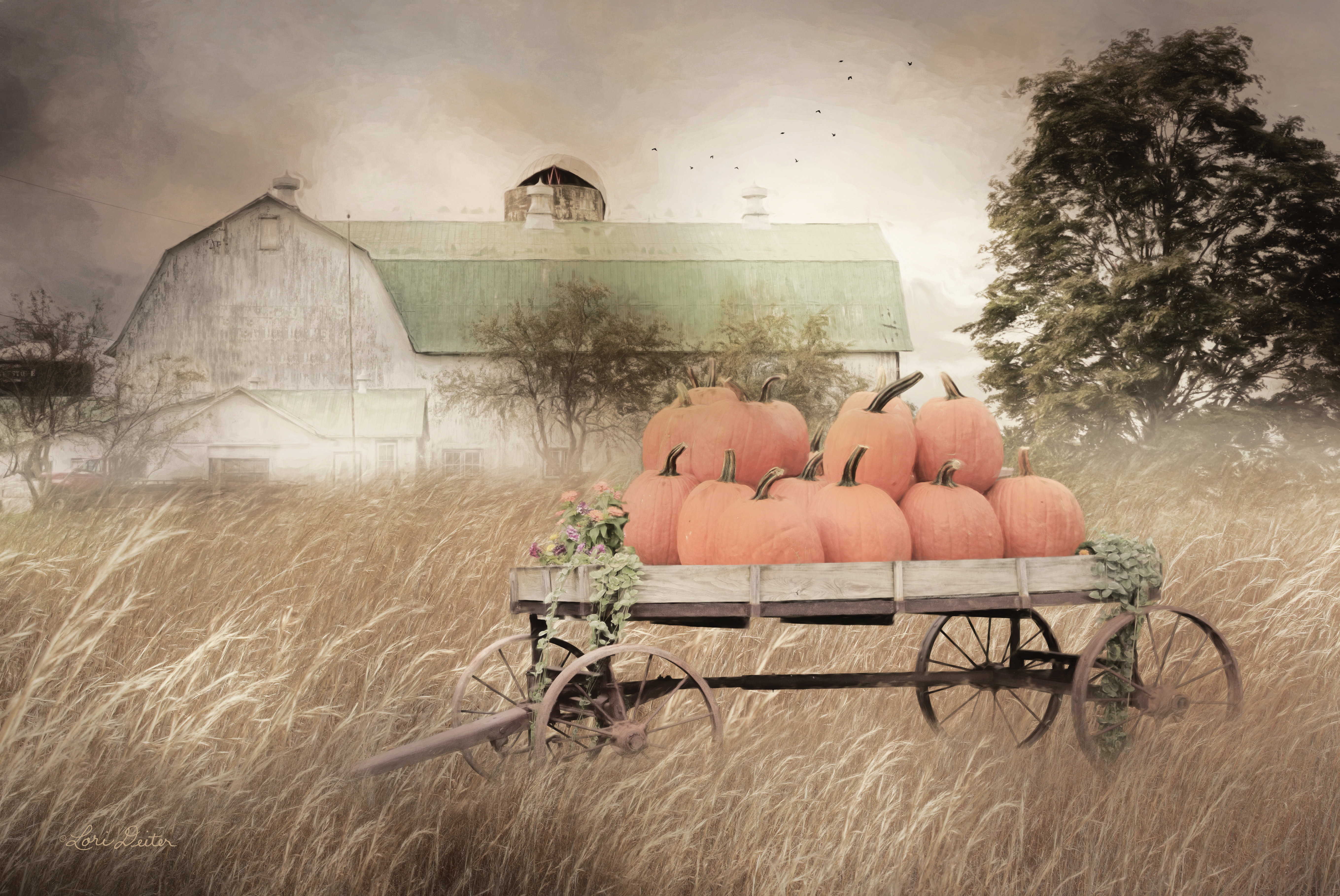 Rosalind Wheeler Pumpkin Harvest by Lori Deiter - Print | Wayfair