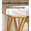 Chaise d'appoint pour la maison