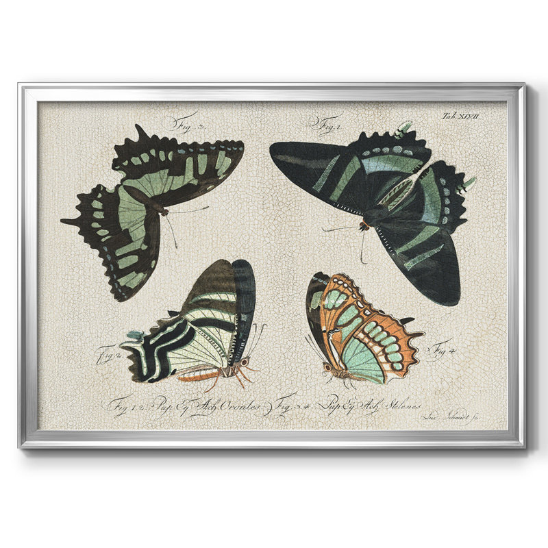 «Crackled Butterflies III», reproduction d'art sur toile, Argent, H 18 po x l 26 po x P 1,5 po