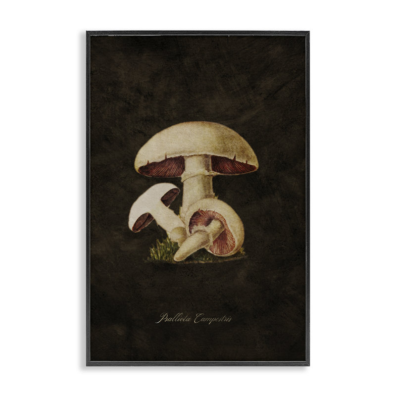 Art rétro de giclée champignon Portobello par Tina Higgins Designs, Inc., H 30 po x l 20 po, Giclée encadrée noir minuit