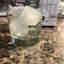 Customer photo 2 of 3