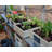 Palram - Canopia Hybrid 6' W x 4' D Walk-In Hobby Polycarbonate Aluminum Frame Greenhouse Kit with Roof Vent - Silver-356792577-314629675
