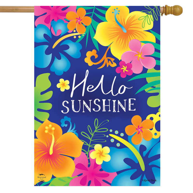 Drapeau Hello Sunshine House