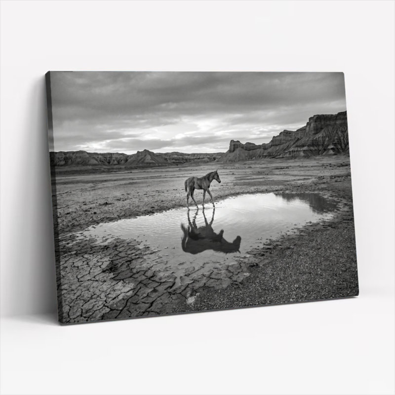 Ensemble de 1 tableau sur toile « Reflet de cheval », H 24 po x l 36 po, Toile tendue
