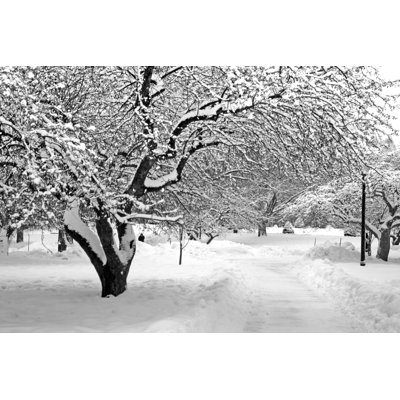 «Boston Winter» par Coleong - Photographie sur toile tendue