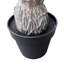 Palmier 82 po en pot