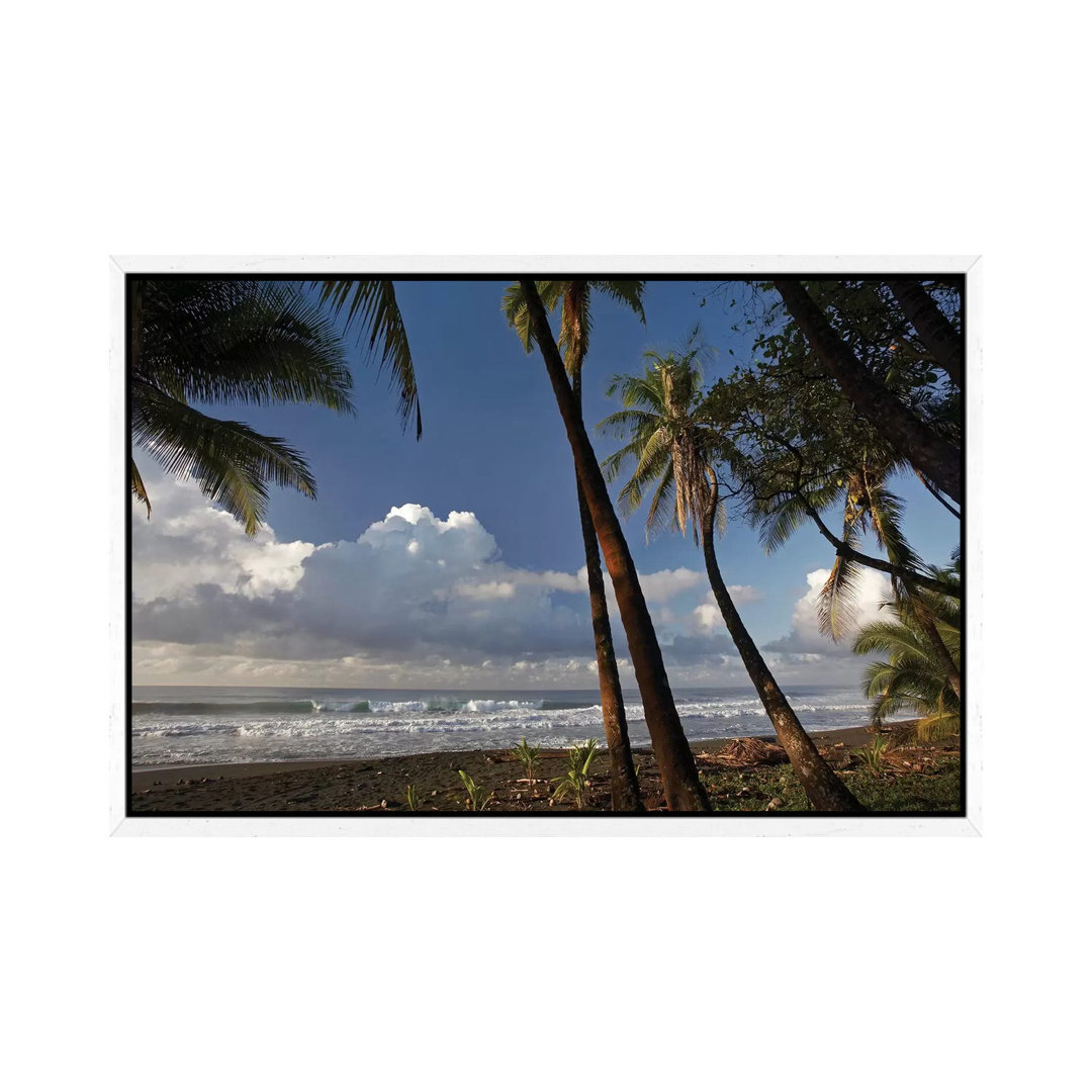 Palmen am Strand in der Nähe des Marino Ballena Nationalparks, Costa Rica von Tim Fitzharris - Galerie-verpackte Leinwan...