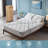Lechepus 10" Medium Hybrid Mattress-68448455