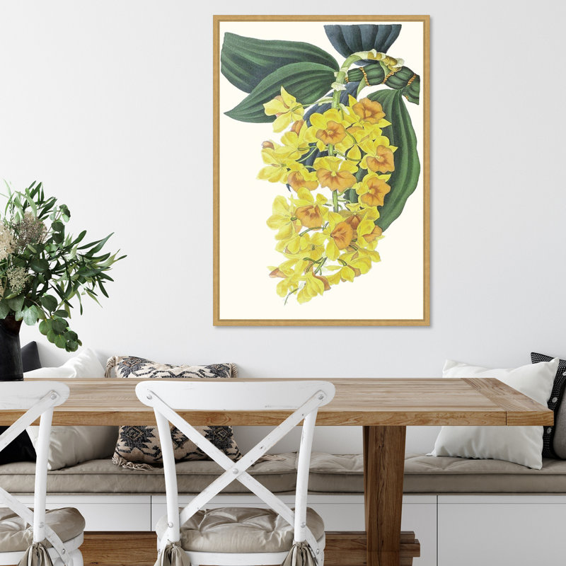 Impression sur toile encadrée «Tropicals VI» par Ciska, H 33 po x l 23 po
