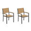 Travira Dining Arm Chair-1054275836-1016328267