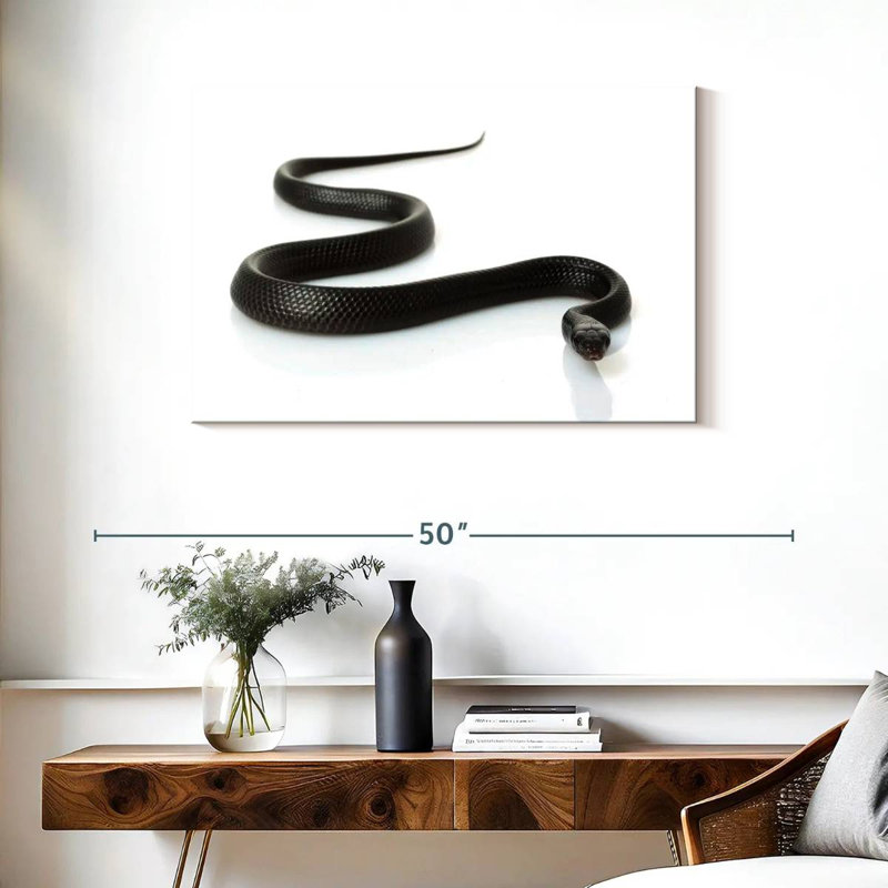 Brampt Eastern Indigo Snake, 24" H x 36" W