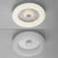 Waris LED Flush Mount