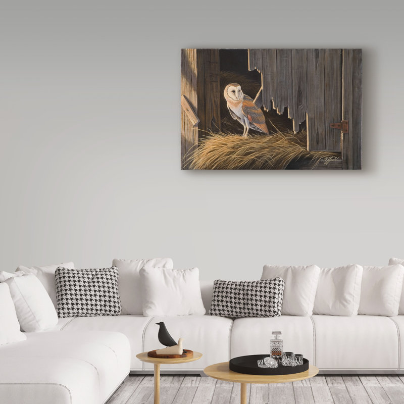 «Ready For The Hunt Barn Owl» par Berrien, impression sur toile tendue, H 30 po x l 47 po x P 2 po