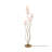 Domiziana 62.99'' Gold Novelty Floor Lamp