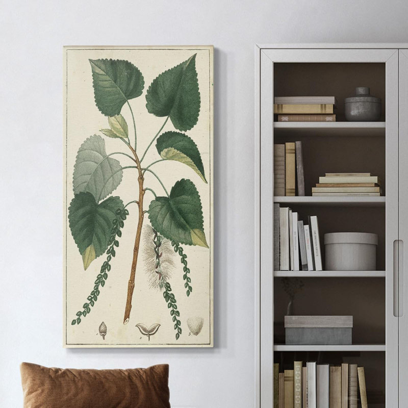 Toile Renditions Gallery