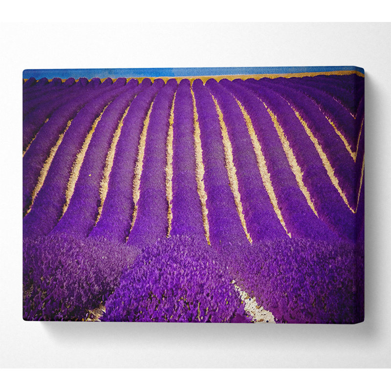 Lavender Field - Wrapped Canvas Print, 66cm H x 106.6cm W x 10cm D