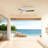 Donaire 52'' Ceiling Fan with LED Lights-315693480-297934720