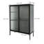 Armoire de rangement autoportante à 2 portes avec 2 tablettes réglables