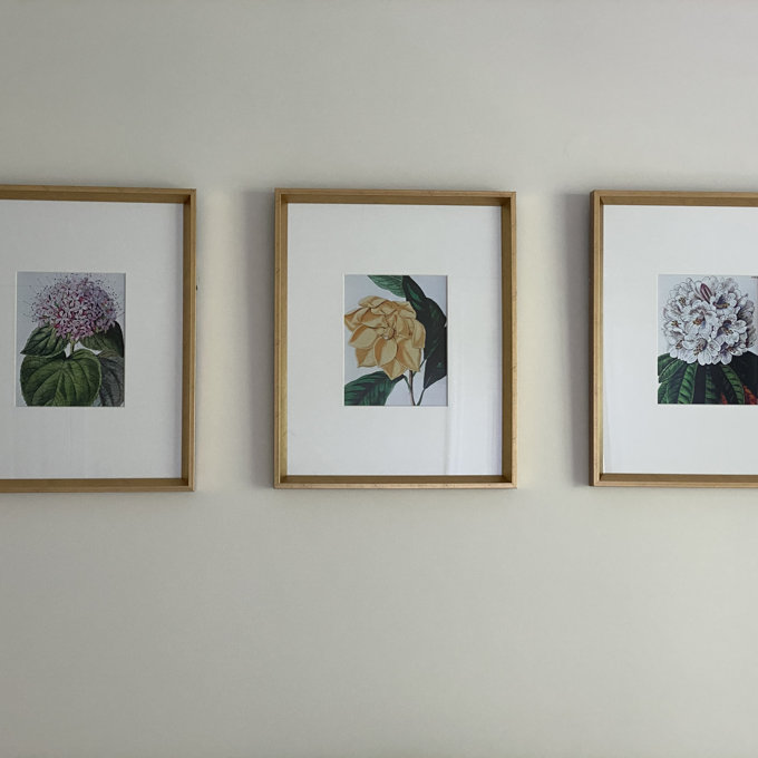 Set of 3 Frames with Mat- Brown