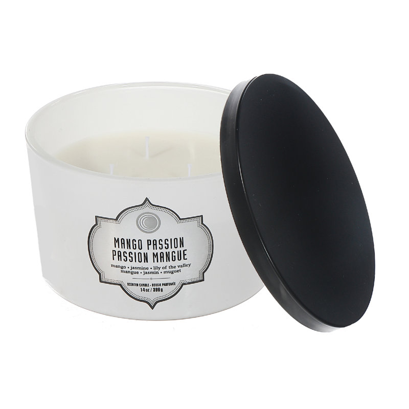 Bougie blanche parfumée mangue passion - ensemble de 2, Pot de 140 oz
