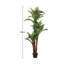 150cm Faux Bonsai Plant in Fabric；Plastic Freestanding