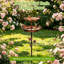 Cuvette de bain d'oiseaux de jardin en fer 3 en 1 avec mangeoire d'oiseaux, grand bassin, 5 piquets
