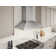 Zephyr Siena Pro 48 In. 1200 CFM Wall Mount Range Hood With LED Light In Stainless Steel