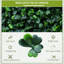 Panneaux muraux 20 po x 20 po en gazon artificiel pour décors intérieurs 20 po x verdure - Décoration extérieure