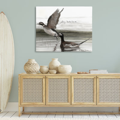 «Long Tailed Duck», art mural par Jadei